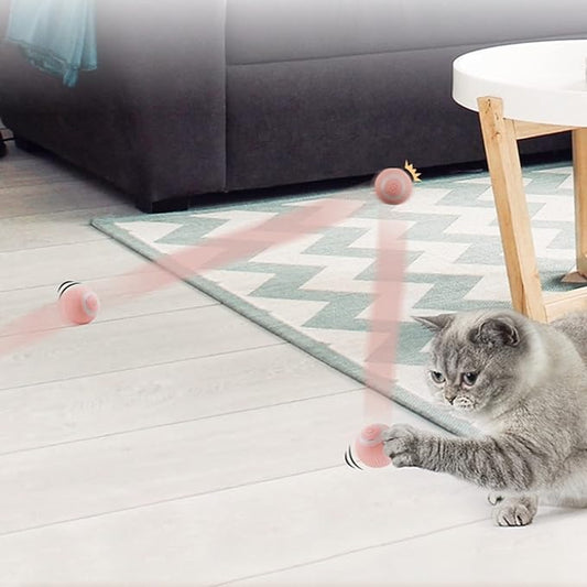 PELOTA SMART PARA MASCOTAS X2