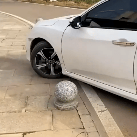 Cera Elimina Rayones