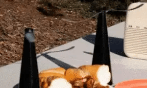 Ventilador Repelente de Moscas De Mesa